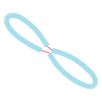 Slope Other Slope Other