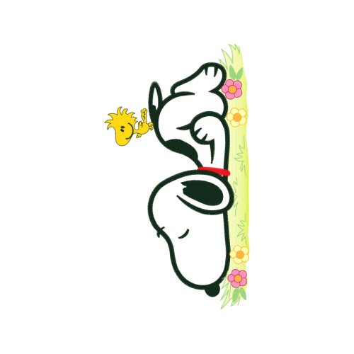 Snoopy Other Snoopy Other