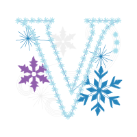Snowflake Other