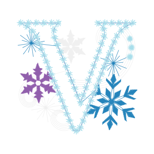 Snowflake Other Snowflake Other