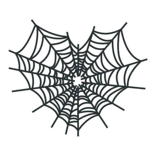 Spider Other Spider Other