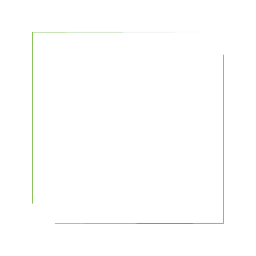 Square Other Square Other