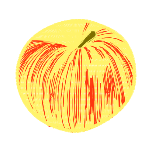 Squash Other Squash Other