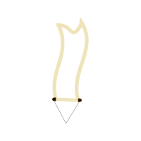 Still Life Photography Other