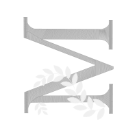 Suspension Bridge Other