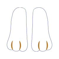 Synthetic Rubber Other
