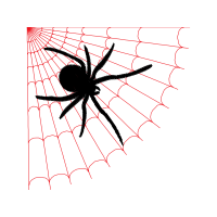 Tangle Web Spider Other