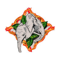 The Arts Other The Arts Other