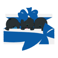 The Arts Other The Arts Other