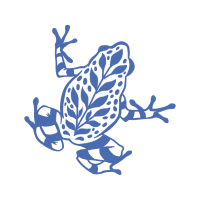 Toads Other Toads Other