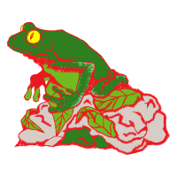 Toads Other Toads Other