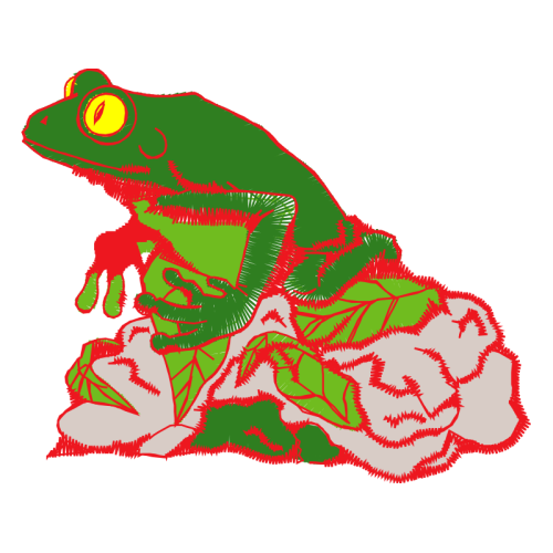 Toads Other Toads Other