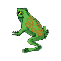 Toads Other Toads Other