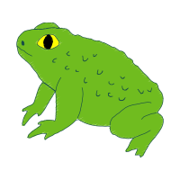 Toads Other Toads Other