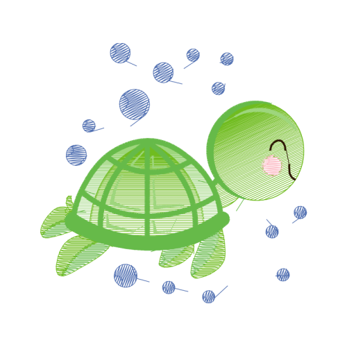 Tortoise Other Tortoise Other