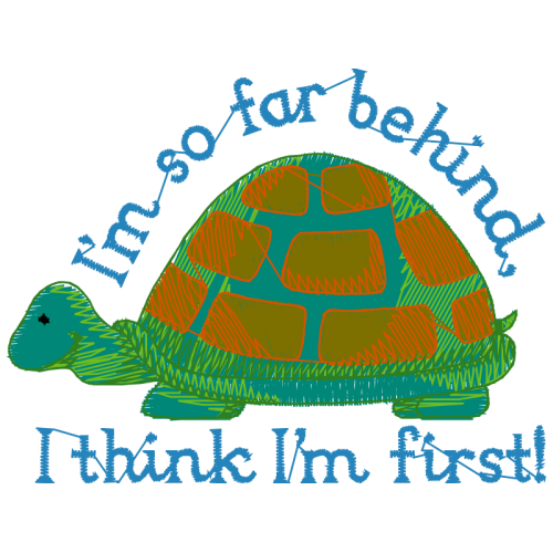 Tortoise Other Tortoise Other