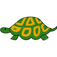 Tortoise Other