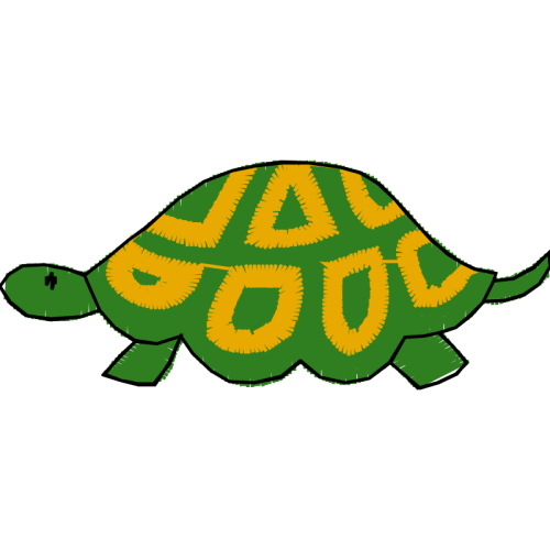 Tortoise Other Tortoise Other