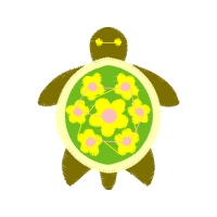 Tortoise Other