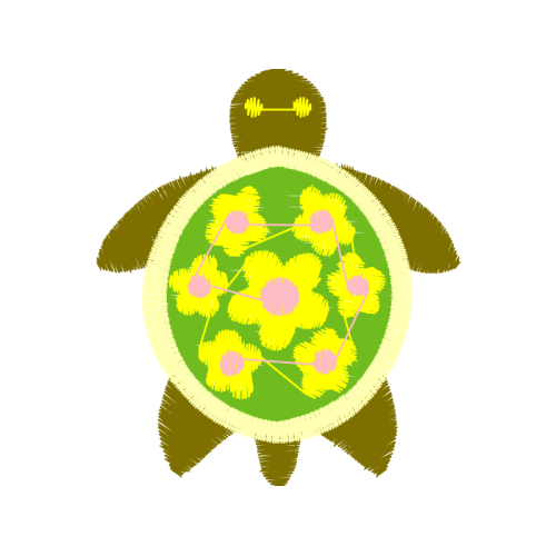 Tortoise Other Tortoise Other