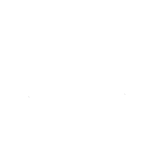 Tote Bag Other Tote Bag Other