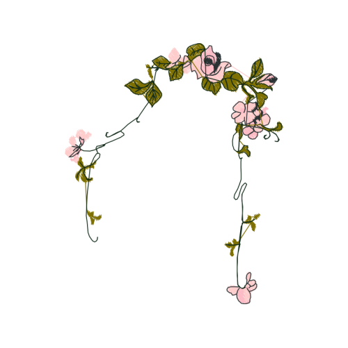 Touch Me Not Other Touch Me Not Other