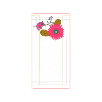 Transvaal Daisy Other Transvaal Daisy Other