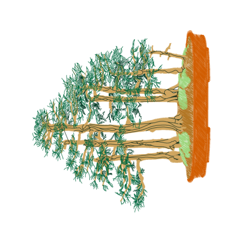 Tree Other Tree Other