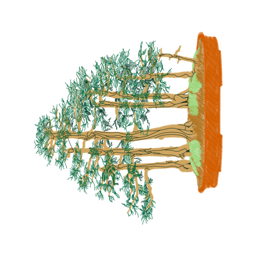 Tree Other Tree Other