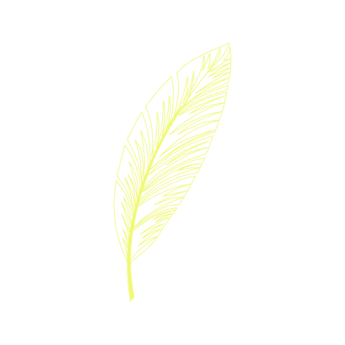 Tree Other Tree Other