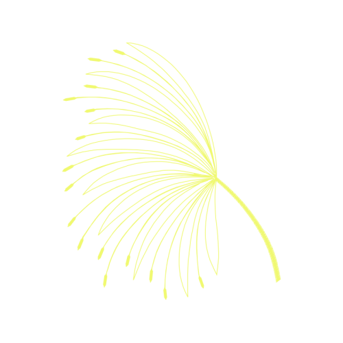 Tree Other Tree Other