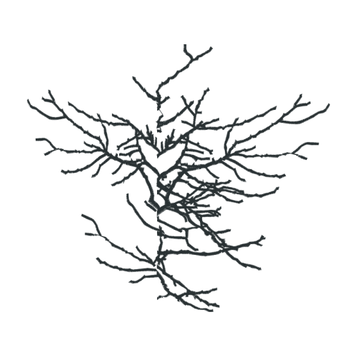 Tree Other Tree Other