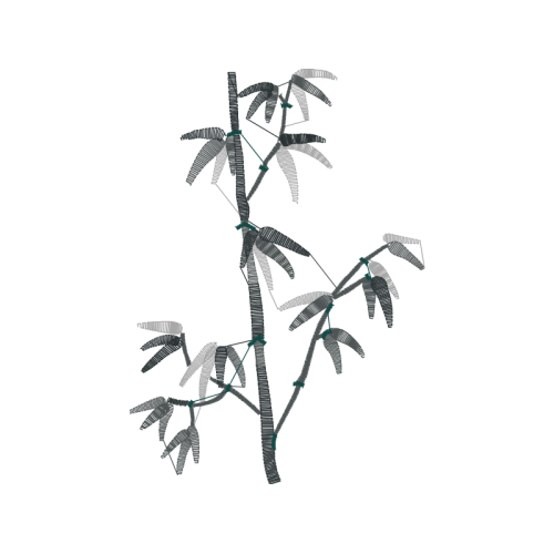 Tree Other Tree Other