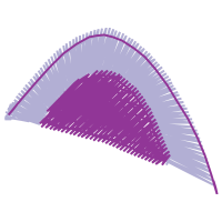 Triangle Other Triangle Other