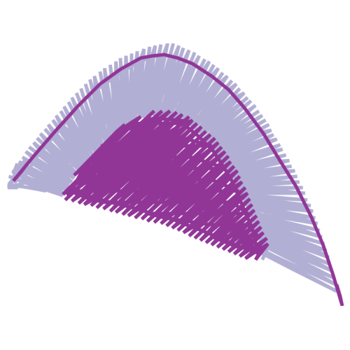 Triangle Other Triangle Other