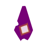 Triangle Other Triangle Other