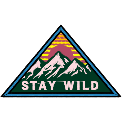 Triangle Other Triangle Other