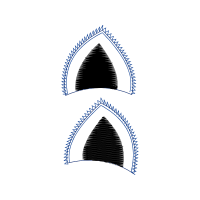 Triangle Other Triangle Other