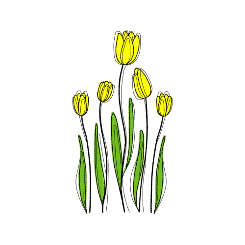 Tulip Other Tulip Other