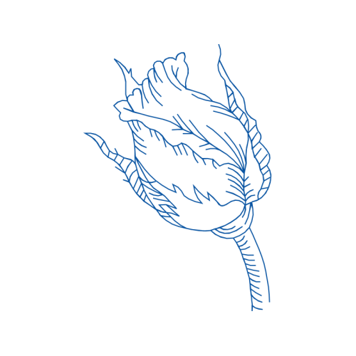 Tumakuru Other Tumakuru Other