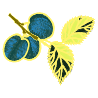 Turquoise M Other Turquoise M Other