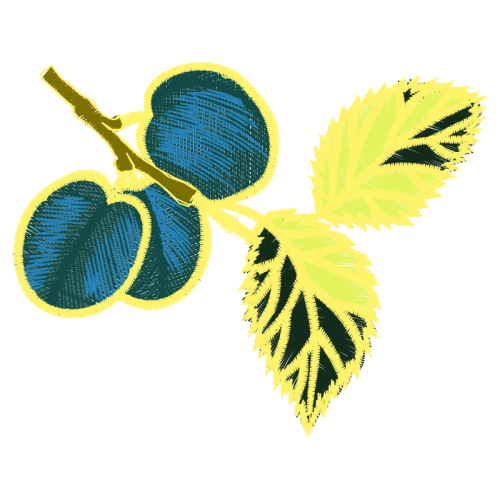 Turquoise M Other Turquoise M Other