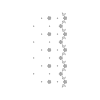 Turtles Other Turtles Other