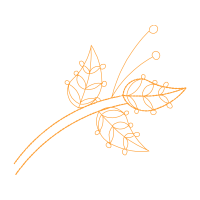 Twig M Other Twig M Other