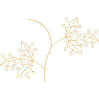 Twig M Other Twig M Other