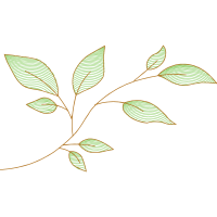 Twig M Other Twig M Other