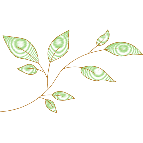 Twig M Other Twig M Other