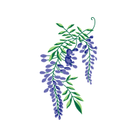 Twig M Other Twig M Other