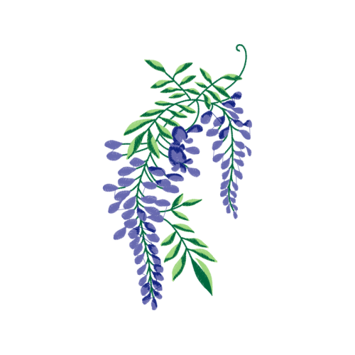 Twig M Other Twig M Other