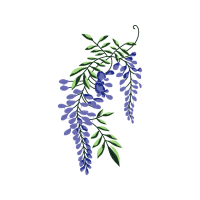 Twig M Other Twig M Other